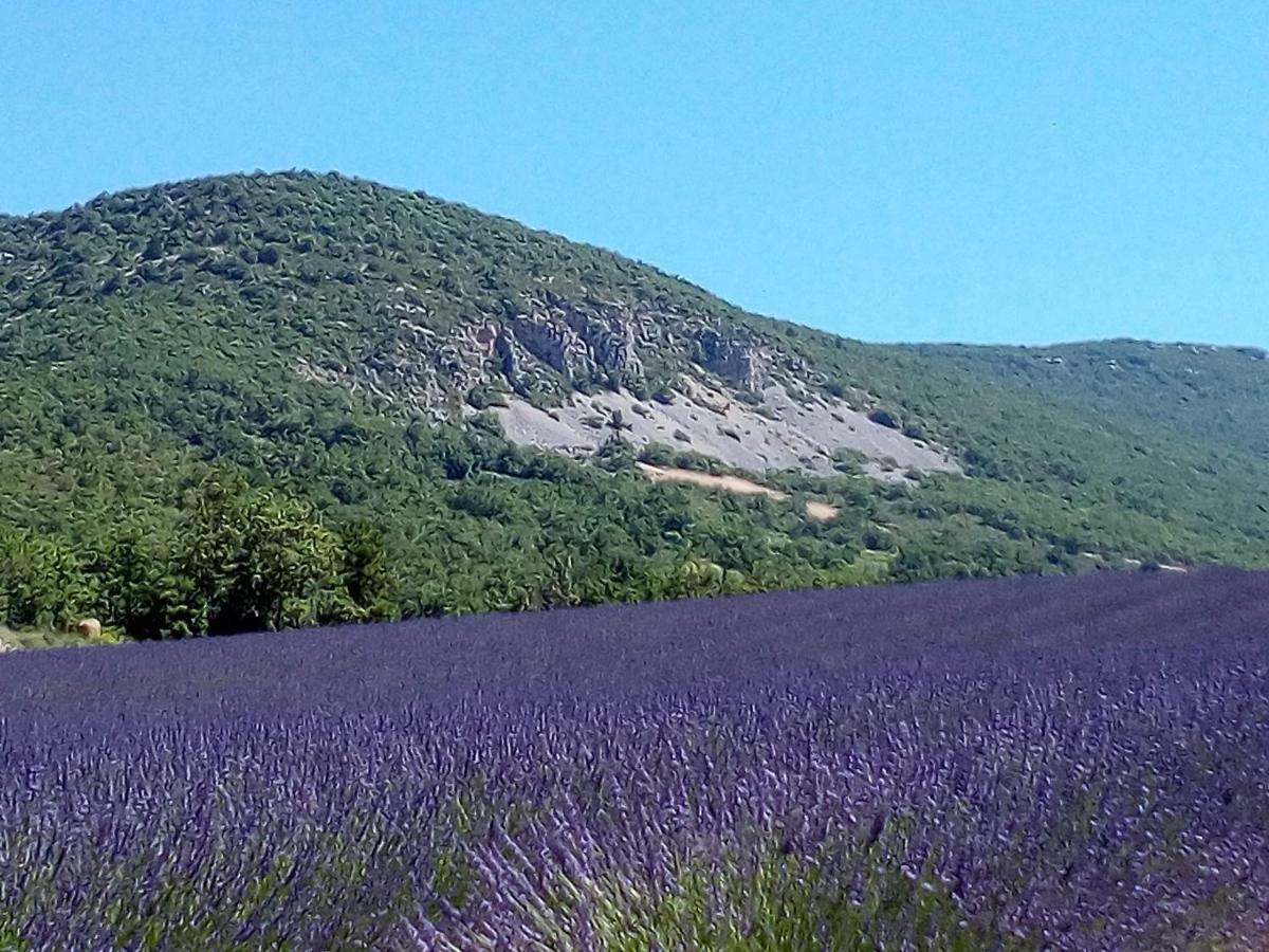 Gite La Fleur D'Olivier Nyons Exterior foto